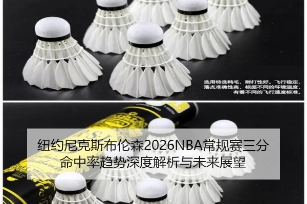 纽约尼克斯布伦森2026NBA常规赛三分命中率趋势深度解析与未来展望
